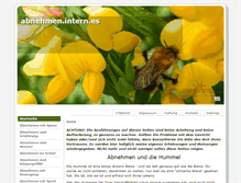 Tablet Screenshot of abnehmen.intern.es